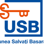 Logo-USB